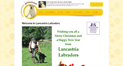 Desktop Screenshot of pedigreelabrador.co.uk