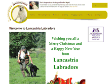 Tablet Screenshot of pedigreelabrador.co.uk